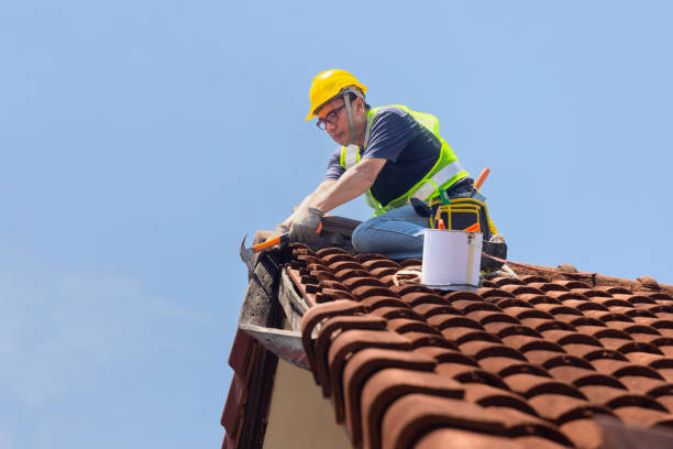 Best Roof Insulation Installation  in USA